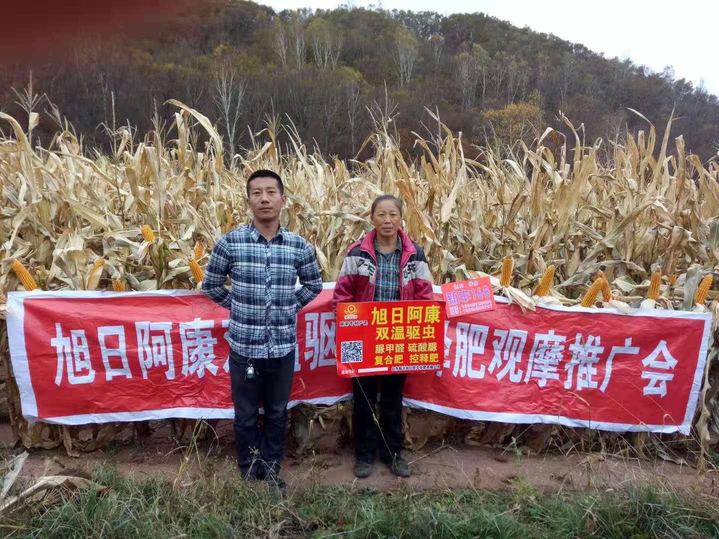 案例展示
